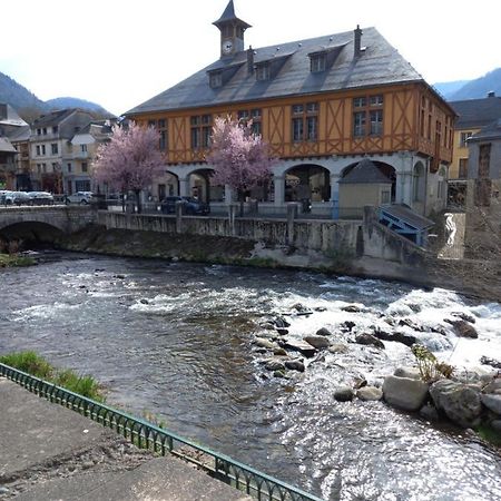 Appartement 2 A 4 Personnes Le Pyreneen A Arreau Carrefour Des Activites De Montagne Zewnętrze zdjęcie