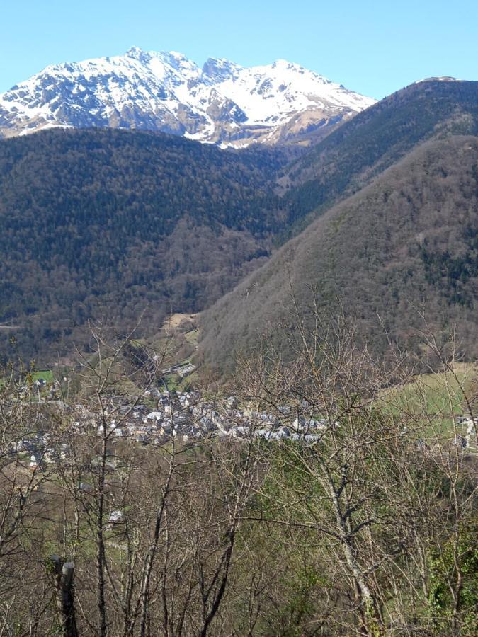 Appartement 2 A 4 Personnes Le Pyreneen A Arreau Carrefour Des Activites De Montagne Zewnętrze zdjęcie