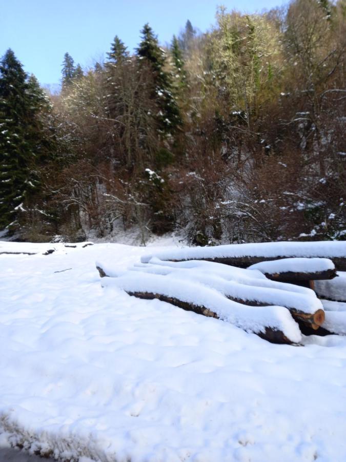 Appartement 2 A 4 Personnes Le Pyreneen A Arreau Carrefour Des Activites De Montagne Zewnętrze zdjęcie